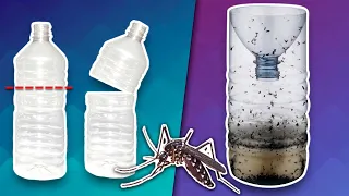 Truco para eliminar los mosquitos con una botella de plástico