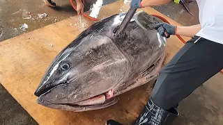 300KG giant bluefin tuna cutting Master, Luxurious sashimi / 巨大黑鮪魚切割秀,鮪魚金三角 - Taiwanese Food