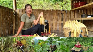 FULL VIDEO 150 Days: Harvesting bamboo shoots, boiled corn, bringing to the market to sell