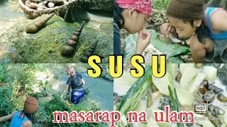 Chen & Dodz Vlog-SUSU sa Sapa #foodtrip(#survival_content) @FRANZRhythm