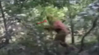 Adygea Bigfoot Captured on Video - Yeti, Sasquatch, Yeren, Yowie Bigfoot