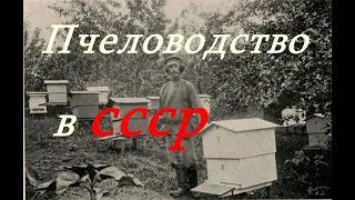 Пчелиные истории  Пчеловодство в СССР