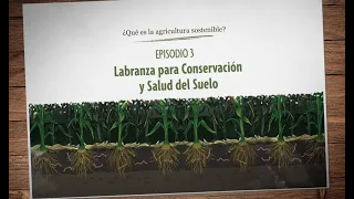¿Qué es la agricultura sostenible? Episodio 3: Labranza para Conservación y Salud del Suelo