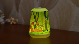 The Little Fox (VUK) LED Light For Kids