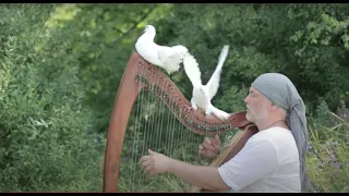 Alizbar/ Celtic harp/ Under white wings / Last fallen leaf / Кельтская арфа/ Relax Music /Meditation