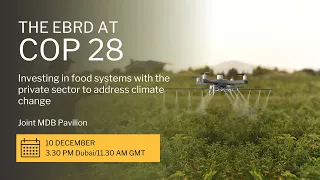 Investing in food systems with the private sector to address climate change