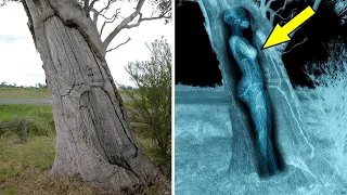 10 Strange Things Found in Unexpected Places