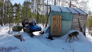 ХИЖИНА В ЛЕСУ. ПОХОД К ТАЁЖНОМУ БАЛАГАНУ. РЫБАЛКА НА ЛЕСНОМ ОЗЕРЕ. ХИЖИНА НА БОЛОТЕ ИЗ ЦЕЛЛОФАНА