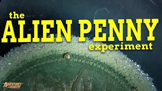 The Alien Penny Experiment
