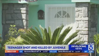 Temecula teen shot and killed by juvenile