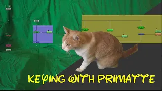 Nuke Tutorial – Chroma Removal with Primatte node in Nuke | Keying in Nuke | Primatte Keyer[HINDI]