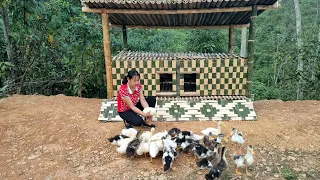 How To Buiding Bamboo House For Ducks, Daily life - Lý Thị Viện - Ep.14