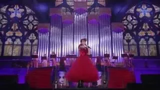 水樹奈々「SCARLET KNIGHT」（NANA MIZUKI LIVE THEATER 2015 -ACOUSTIC- in さいたまスーパーアリーナ）