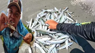 FARTURA NA PESCARIA DE TARRAFA ! PEIXE AGULHA, PESCAMOS E PREPARAMOS NA HORA ( CATCH AND COOK)