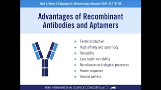 Modern Affinity Reagents: Recombinant Antibodies and Aptamers