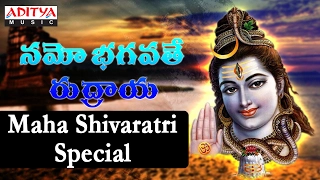 Popular Namo Bhagavathe Rudraya | Maha Shivaratri Special | Telugu Devotional Jukebox