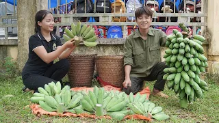 The guy who had an accident and Hien stay together, Harvesting Banana Garden Goes to the market sell