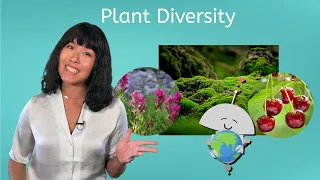 Plant Diversity - Biology for Teens!