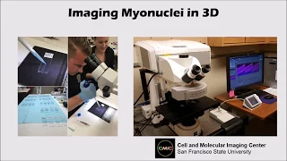 Confocal Microscopy Explained