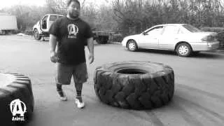 Tire Flipping Technique with HIGA MONSTER