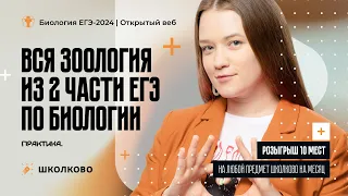 Вся зоология из 2 части ЕГЭ по биологии 2024. Практика| Розыгрыш