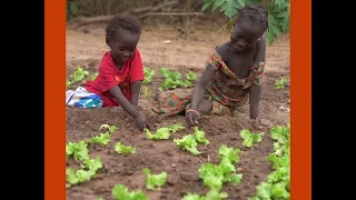 Trees for the Future of the Next Generation