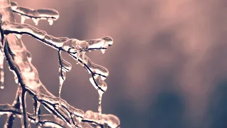 Ледяной дождь в Киеве! ☄️ Freezing rain!