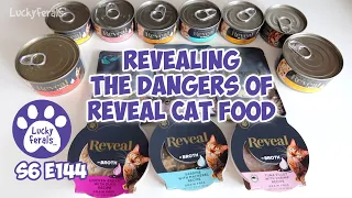 WARNING: Revealing The Dangers Of Reveal Cat Food - S6 E144 - Reveal Cat Food Review