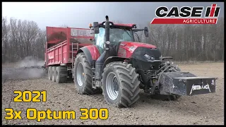 3x Case IH Optum 300 CVX | Rozmetání Hnoje 2021 | Zemědělské Služby Martin Zbořil