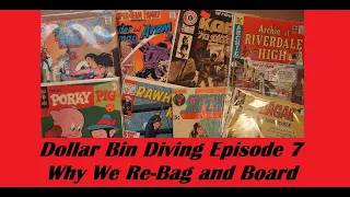 Dollar Bin Diving Episode 7.  Why We Re-Bag and Board.