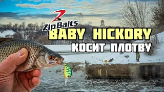 ПЛОТВА СОШЛА С УМА и клюёт на воблеры | Как ловить на ZipBaits Baby Hickory зимой