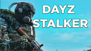 Что такое DayZ Stalker RP?