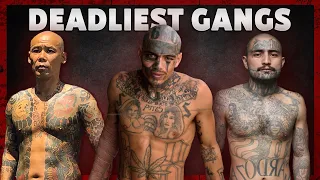 The 10 Deadliest Gangs In The World