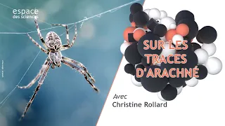 🕷️ Sur les traces d'Arachné