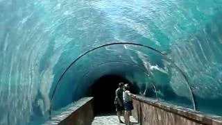 Walking through Atlantis underwater tunnel in Nassau, Bahamas