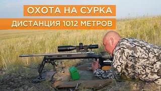 Охота на сурка! Выстрел на 1012 метров!