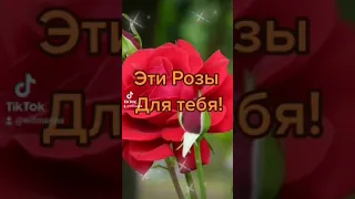 Эти розы для тебя!🌹🌹🌹#Shorts