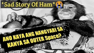 Kaunaunahang unggoy na nakarating at naka Orbit sa outer space *Sad Story Of Ham* |DMS TV|