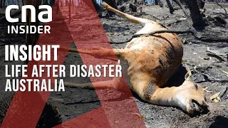 Australia's 'Black Summer', A Year On: Can The Bushfires Stop Burning? | Insight