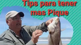 CÓMO GENERAR MAS PIQUE DE CORVINAS Y PESCADILLAS