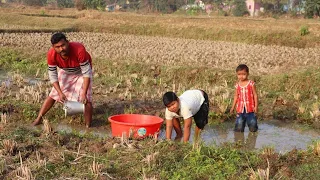 Fishing video || Skilled boys are fishing in the village field || Amazing hand fishing