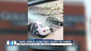 Tampa jewelry heist caught on camera