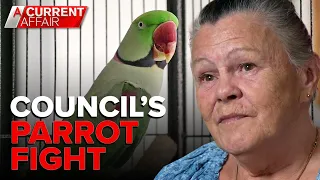 'Ridiculous': Council threatening to split woman and pet parrot | A Current Affair