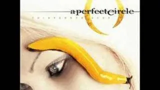 07. The Outsider - A Perfect Circle