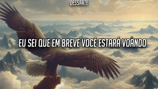 Sia — Little Wing | Tradução