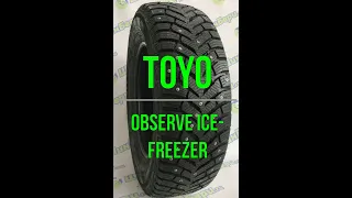 Toyo Observe Ice Freezer обзор шипованной шины