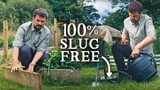 10 Best & Cheap Ways to Get Rid of Slugs in Your Garden