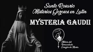 Misterios Gozosos en Latín - Mysteria Gaudii
