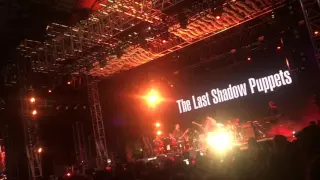 The Last Shadow Puppets Coachella WKND 2 "I Want You So Bad"