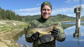 Freshwater Spearfishing - Spearing Cutthroat Trout - Electric Lake, Utah - How to - For Beginners.